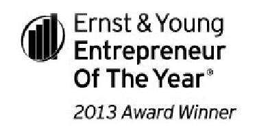 ernst_and_young_2013